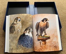 Load image into Gallery viewer, The Specialist Falcon; Special Limited Edition.

